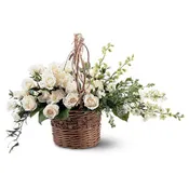 Basket of Light [TF194-3]