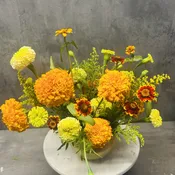Fall Feature