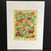 Andrea Strongwater "Cornell Apples" 8x10 Print in 12x16 Matting