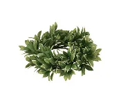 10" Variegated Boxwood Candlering