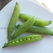 Alaska Shell Pea