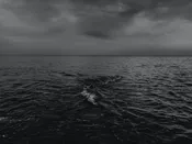 Black Sea — Pierpoint Candle Company