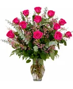 1 DOZEN PINK ROSES