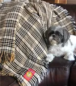 5/A Baker Plaid Afghan