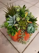 PUMPKIN SUCCULENT ARRANGEMENT