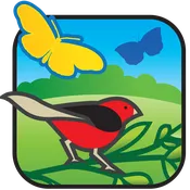 Bird & Butterfly Variety Package