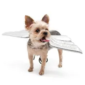 Angel Wings Costume