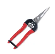 ARS Fruits Pruner 300LDX