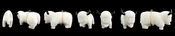 Alabaster Buffalo by Brion Hattie