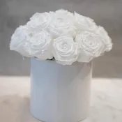 White Roses in White Cylinder