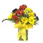 Flowers in bloom