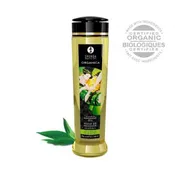 SHUNGA MASSAGE OIL EXOTIC GREEN TEA 8OZ