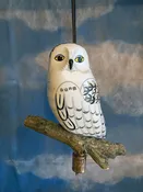 Snowy Owl