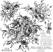 IOD Rose Toile 12 x 12 Stamp
