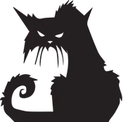Angry Cat