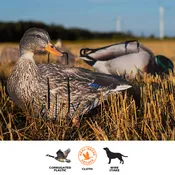 Pro II Lite Mallards