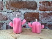 Cactus Candle | LWP x Easton Wicks Collab