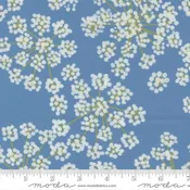 3326-15  Fennel Sky
