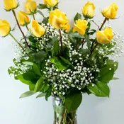 Dozen Yellow Roses