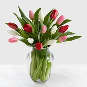 20 Tulips in Vase