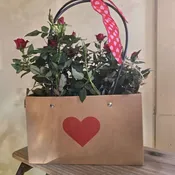valentine garden