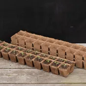 20 Cell Fertil Pots Strip – 10 Count