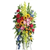 Colorful Standing Spray