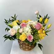 Spring Time