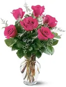 6 Hot Pink Roses