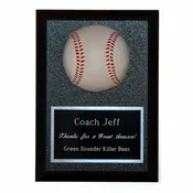 3-D Baseball Award Plaque