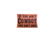 IF YOU AINT COWBOY YOU AINT SHIT