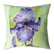 Decorative Pillows — Chapmans Flowers 931-363-1542