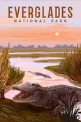 Journal-Alligator at Sunset