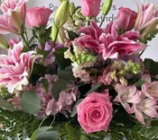 Designers Choice Pastels