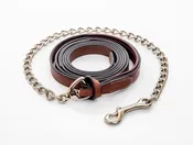 Arc de Triomphe Premium Leather Lead Line