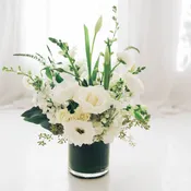 Purity