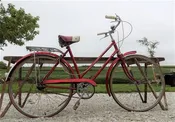 1970s Triumph Raleigh Bicycle, Serial # 124641, Vintage Step Through Bike,