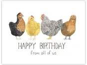 Chickens Birthday Card