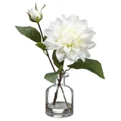 10.5 Inch Dahlia in Glass Vase White
