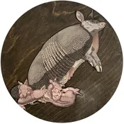 Armadillo 1 — Generation Art and Frame