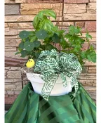 HERB GARDEN