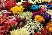 b5-Designer's Choice Arrangement