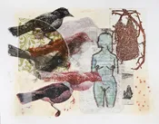 Pronto-Plate Lithography