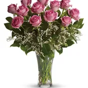 Make Me Blush - Dozen Long Stemmed Pink Roses