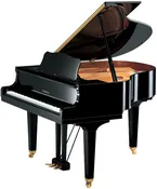 Yamaha DGB1K ENCL Disklavier Grand