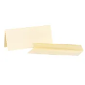 Cards and Envelopes - Ivory Skinny Cards #10