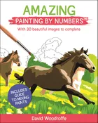 Amazing Paint By Numbers