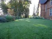 PT 301 Water Smarter Tall Fescue Blend