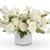 Sassi whites