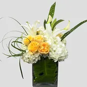 Circles of Light By Newport Florist - NF208